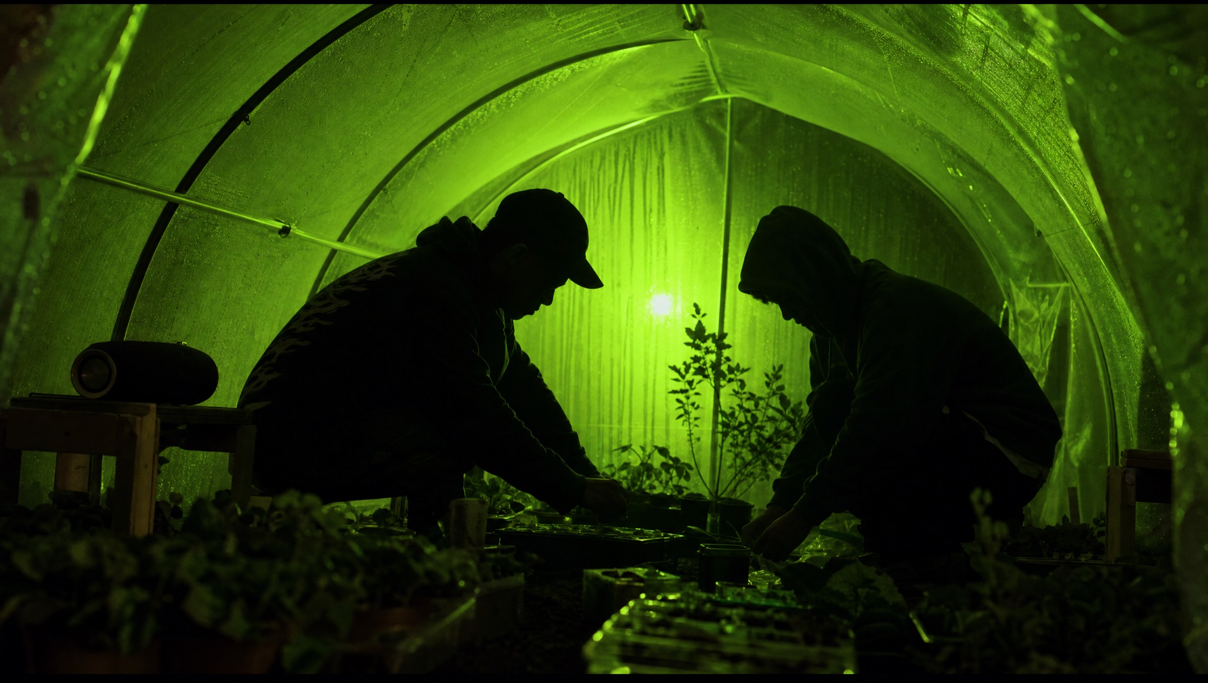Soil and sound