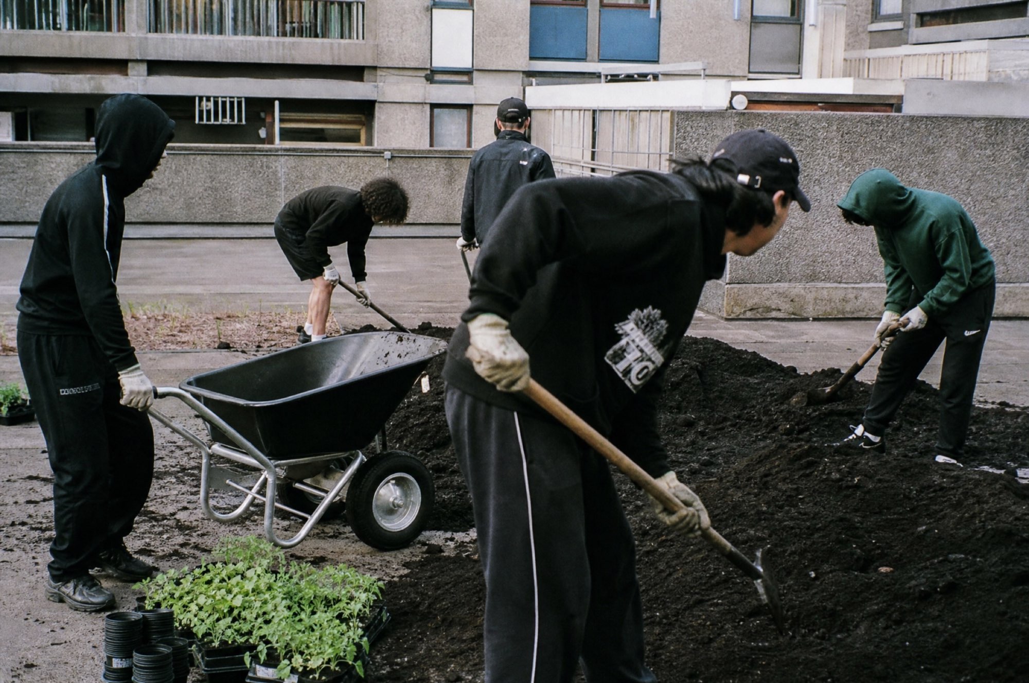 Move soil